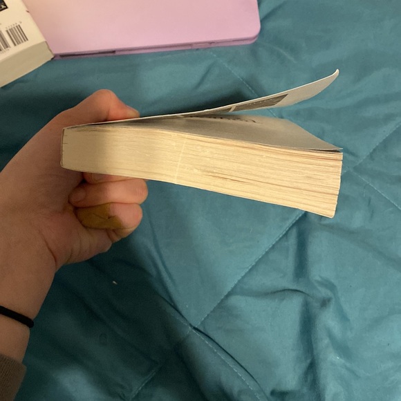 The Betrothed Paperback Book - Picture 4 of 6